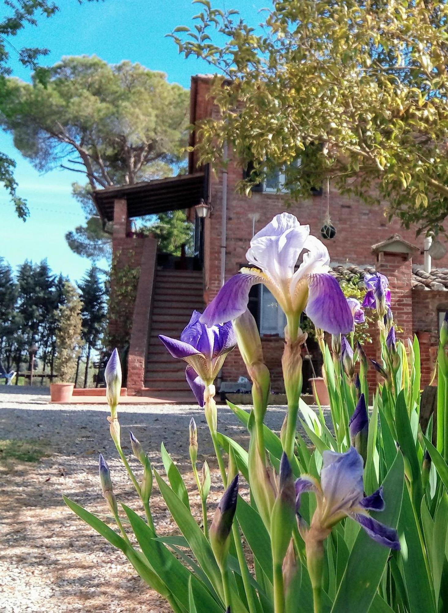 Villa Agriturismo La Terra Valiano Exterior foto