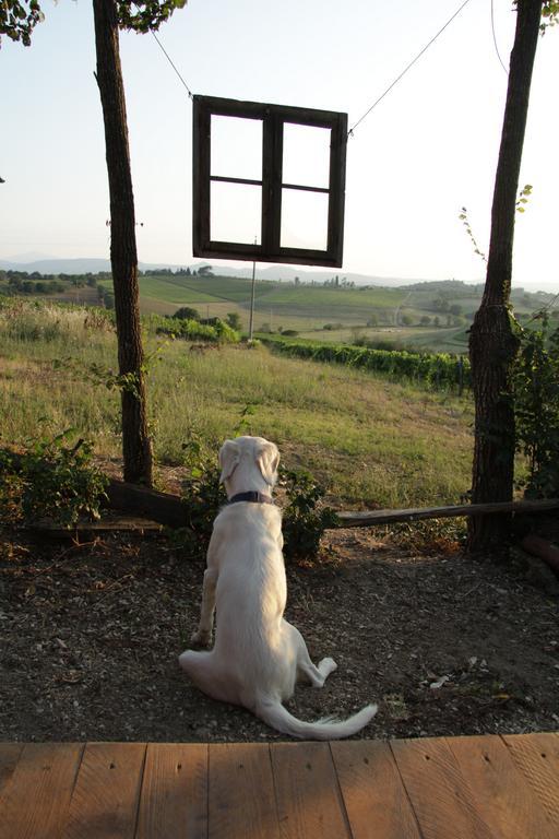 Villa Agriturismo La Terra Valiano Exterior foto